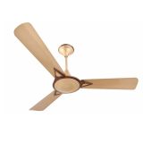 36, AVANCER PRIME ANTI DUST, CEILING, COCOA GOLD