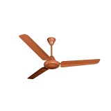 48, HSLV, CEILING, BROWN