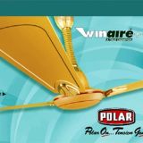 48, WINAIR, CEILING, GOLDEN DUNE