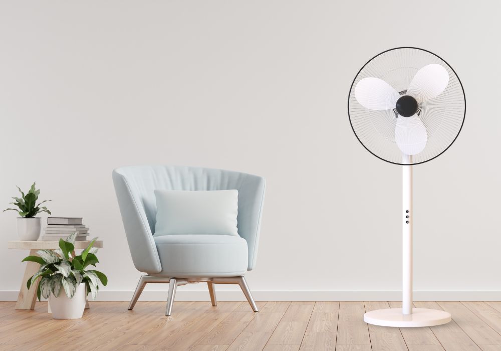 Pedestal Fans