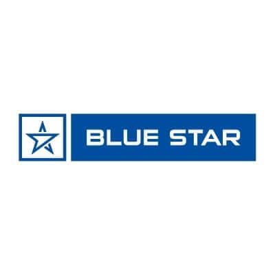 Bluestar Logo New Thegem Person