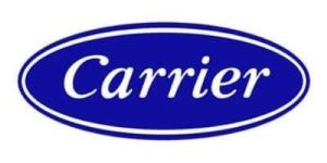 Carrier Logo New Thegem Person