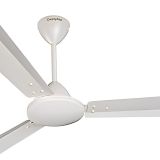 Crompton 48 Jura Prime 1 Star Ceiling Fan Conch Cream