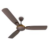 Crompton 48 Toro 1 Star Ceiling Fan Metallic Magic Brown
