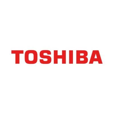 Toshiba Logo Thegem Person