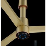 V Guard 48 Insight G Ceiling Imperial Gold