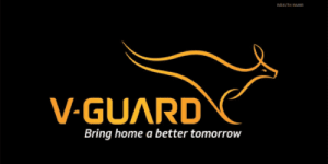 Vguard Logo New Thegem Person