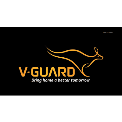 Vguard Logo New Thegem Person