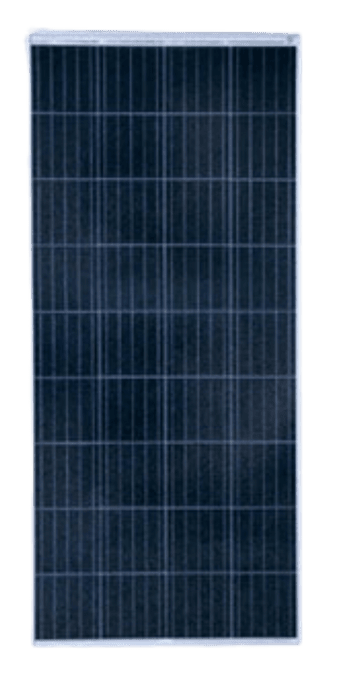 V 5