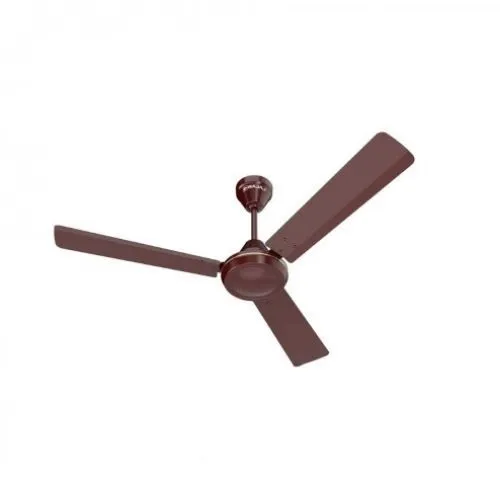 Bajaj 48 , Robusta 12dc5, Ceiling Fan, Chocolate Brown