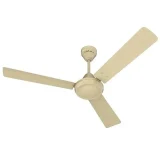 Bajaj 48 , Robusta 12s1, Ceiling Fan, Base Brown