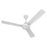 Bajaj 48 , Robusta 12s1, Ceiling Fan, Base White